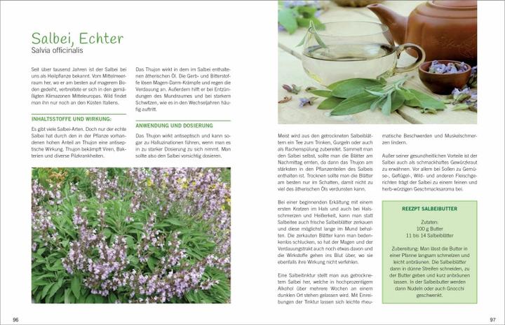 Produktbild Antibiotische Heilpflanzen (Deutsch, Liesel Malm, 2018)