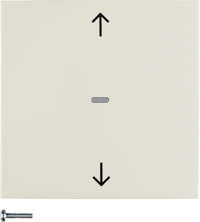 Actual product image Berker 85241182