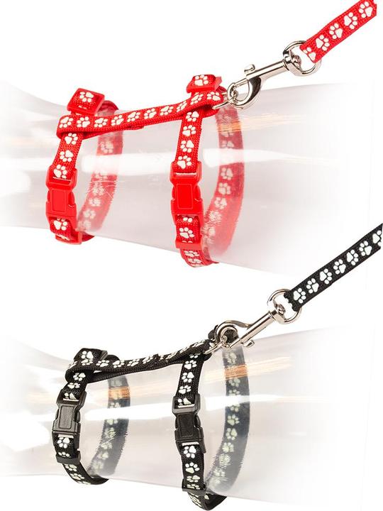 Actual product image EBI big cat walking set Reflective (Cat, Walks)