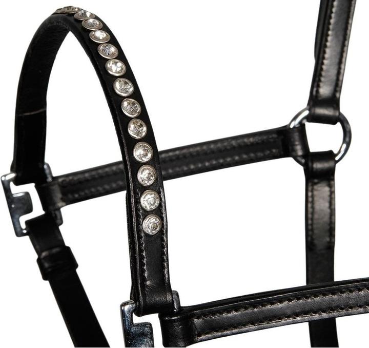 Immagine prodotto Harry's Horse Cavezza in cuoio per puledro con cristallo