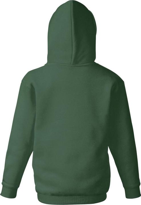 Actual product image Fruit of the Loom Hooded jacket (164)
