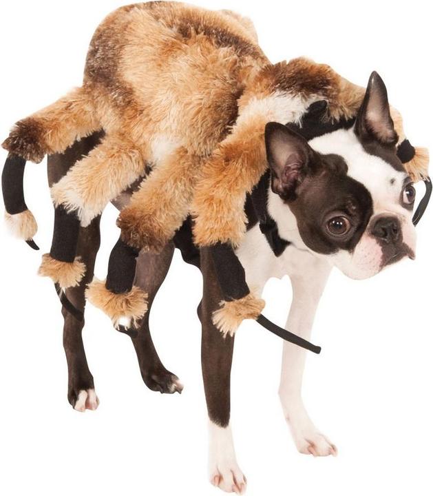 Bristol Novelty Spider Dog Costume (L, Dog costume)