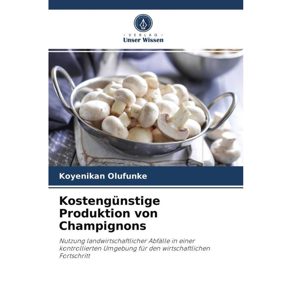 Olufunke:Kostengünstige Produktion von, Fachbücher von Koyenikan Olufunke