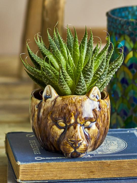 Produktbild Creative Collection Abner (13 x 11.50 x 9.50 cm)