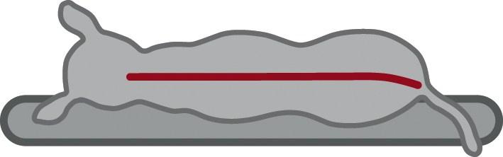 Actual product image Trixie Vital pillow Bendson oval (Cat, Dog)