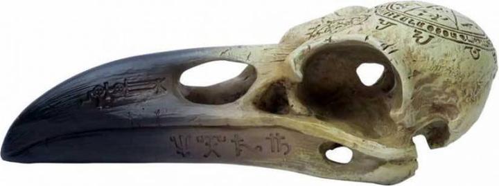 Actual product image Horror-Shop Alchemy Gothic Omega Raven Skull