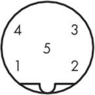 Image du produit Wago Connecteur de données capteur/actionneur