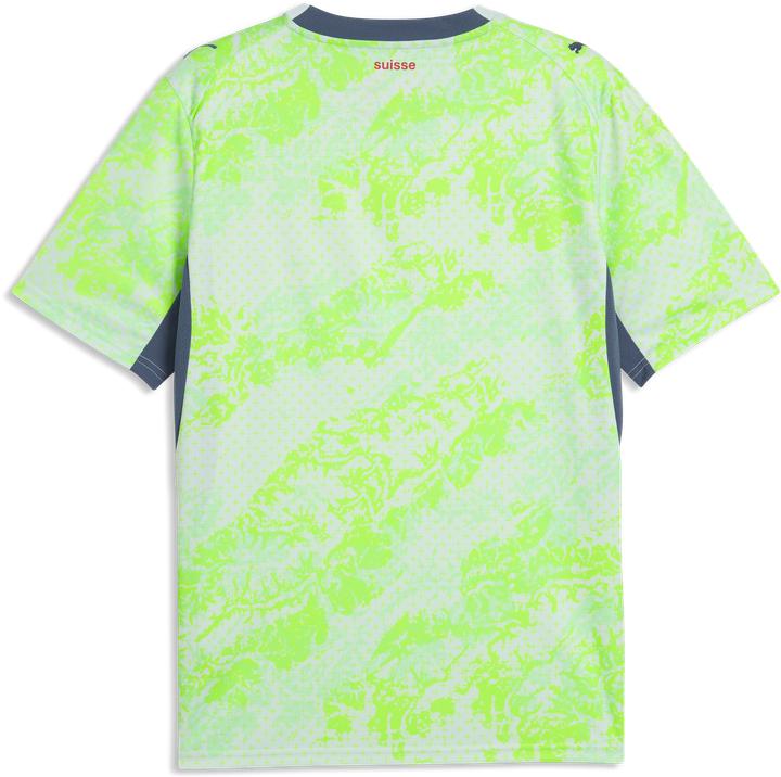 Productafbeelding Puma SFV Away Jersey Replica (L)