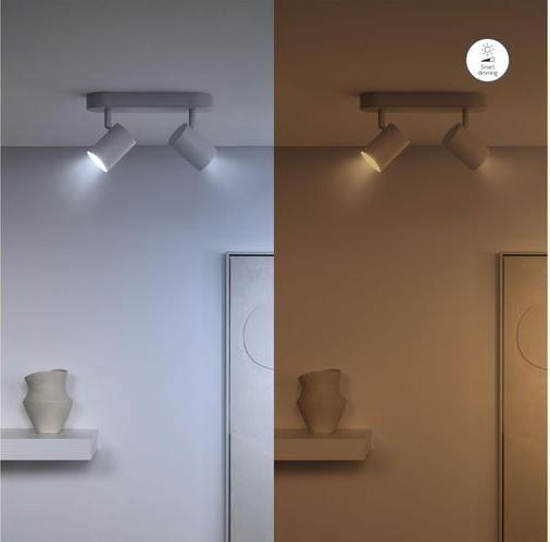 Immagine prodotto WiZ Spot (GU10, 345 lm, 2 x)