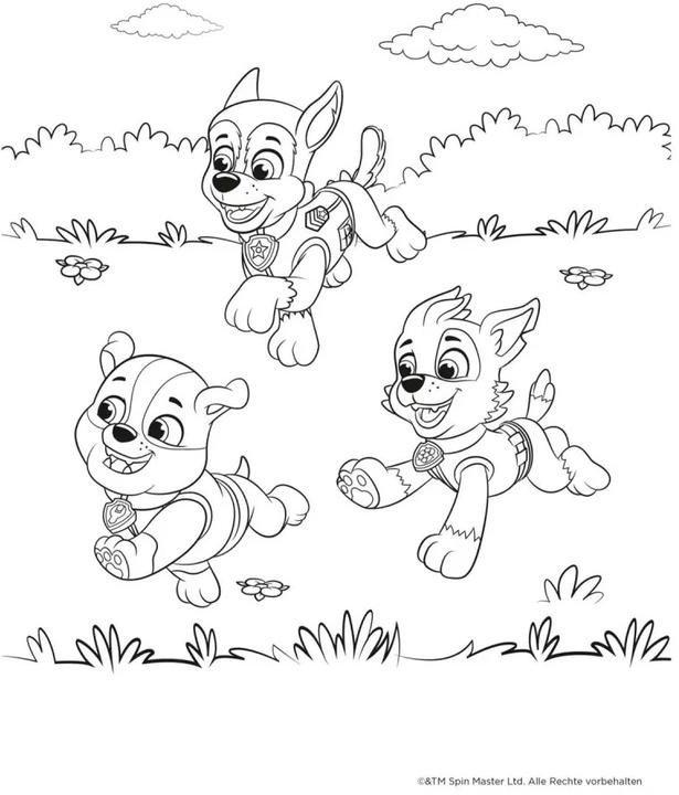 Actual product image Paw Patrol