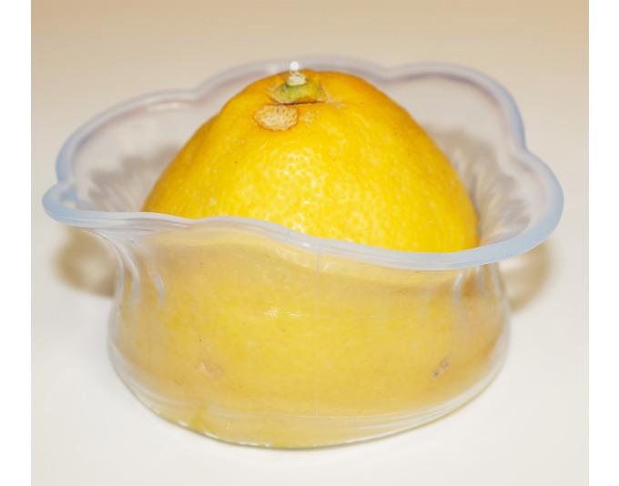 Actual product image Kochblume Stretchii cling lid