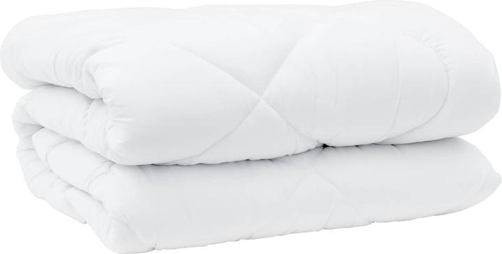 Image du produit vidaXL Winterbettdecke (240 x 222 cm)