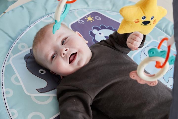 Actual product image Scandinavian Baby Products Zoo Activity Gym