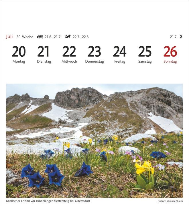 Produktbild Alpen Sehnsuchtskalender 2026 - Wochenkalender mit 53 Postkarten