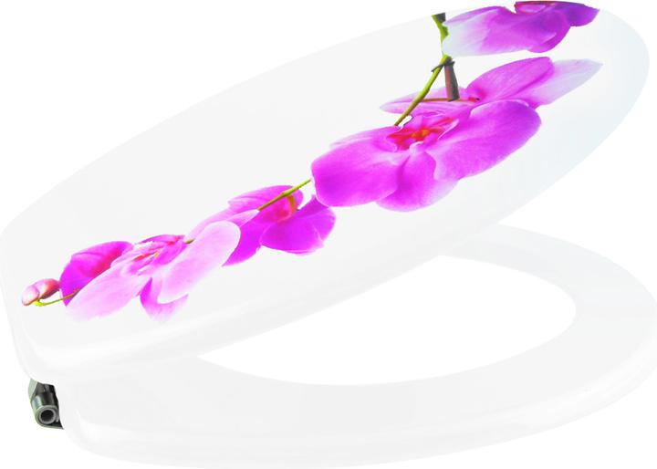 Image du produit MSV Lanyu