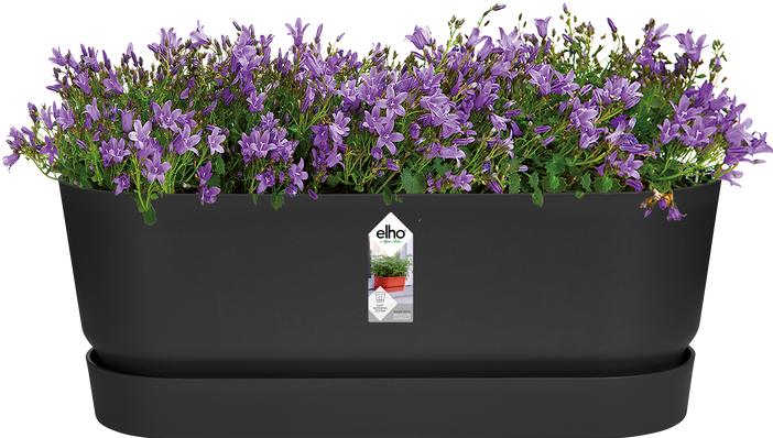 Image du produit Elho Bac à fleurs (19 cm)