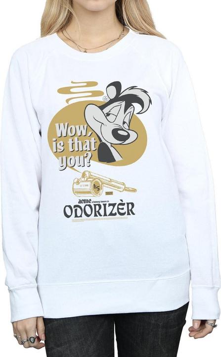 Produktbild Looney Tunes Odorizer Sweatshirt (S)