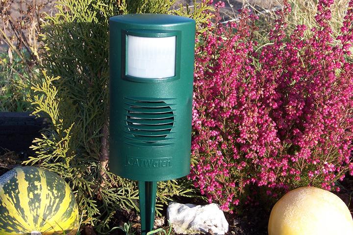 Immagine prodotto Colibri Catwatch