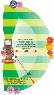 Produktbild FOXwatch 