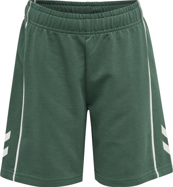 Actual product image hummel Hmldexter Shorts (122)