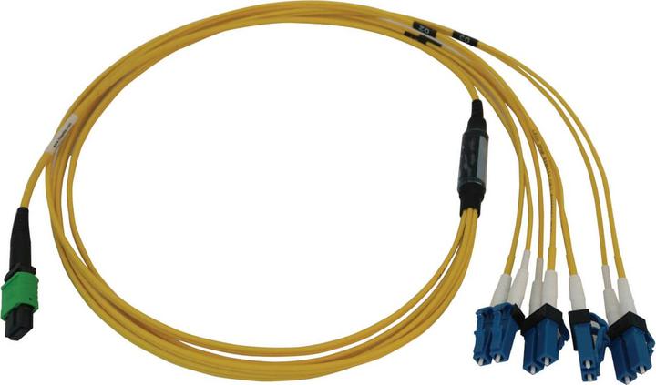 Actual product image Eaton 400G Singlemode 9/125 OS2 Switchable Fibre Optic Cable 12F MTP/MPO-APC to 4x Duplex (1 m)