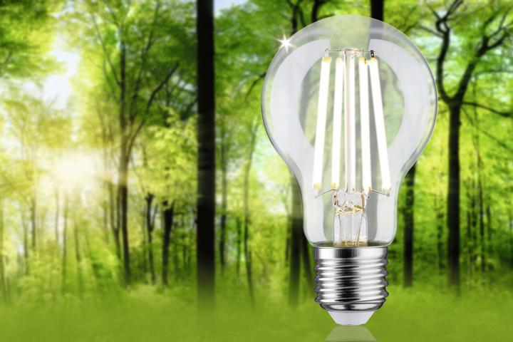 Produktbild Paulmann AGL Eco-Line (E27, 840 lm, 1 x)