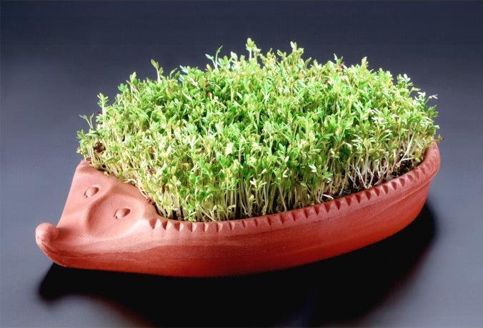 Productafbeelding Römertopf Tuinkers egel