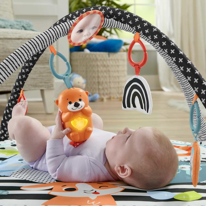 Immagine prodotto Fisher-Price HPF39