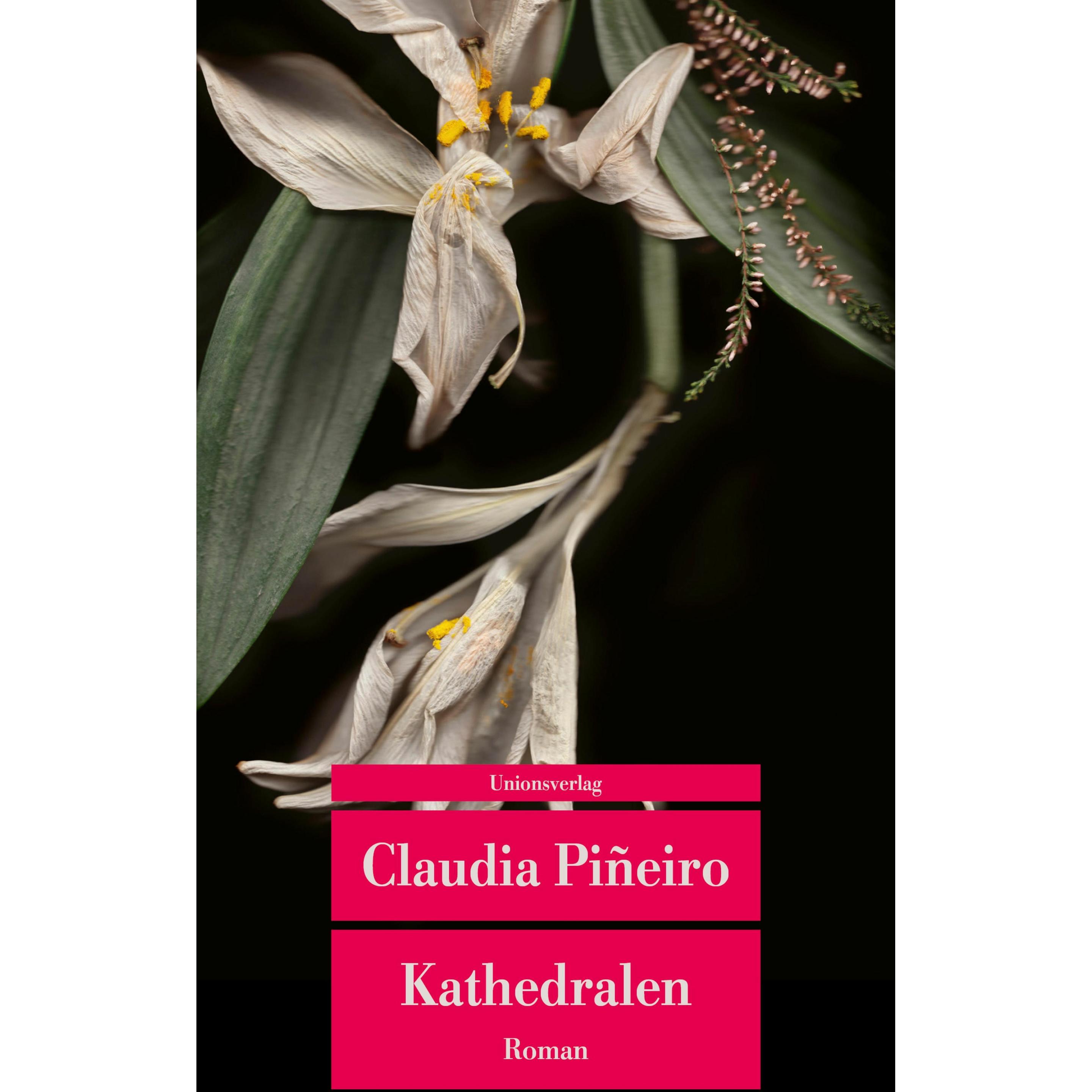 Kathedralen, Belletristik von Claudia Piñeiro