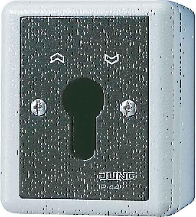 Actual product image JUNG Key switch