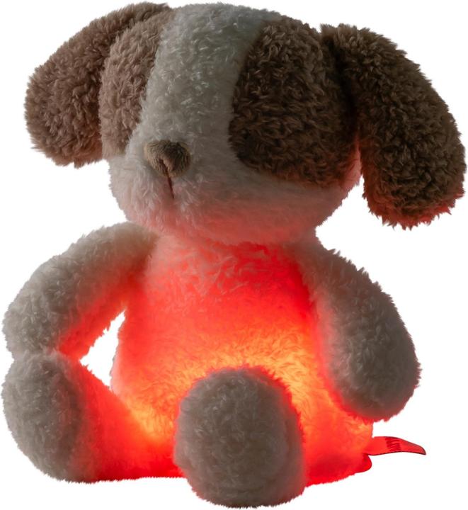 Produktbild Nattou Teddy Mini Hund