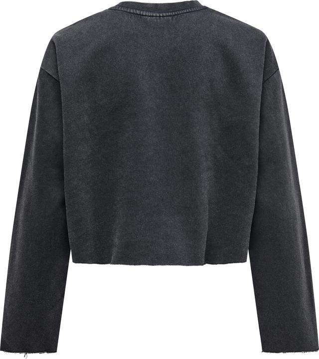 Actual product image Only Regular fit round neck sweatshirt Sweatshirt (L)