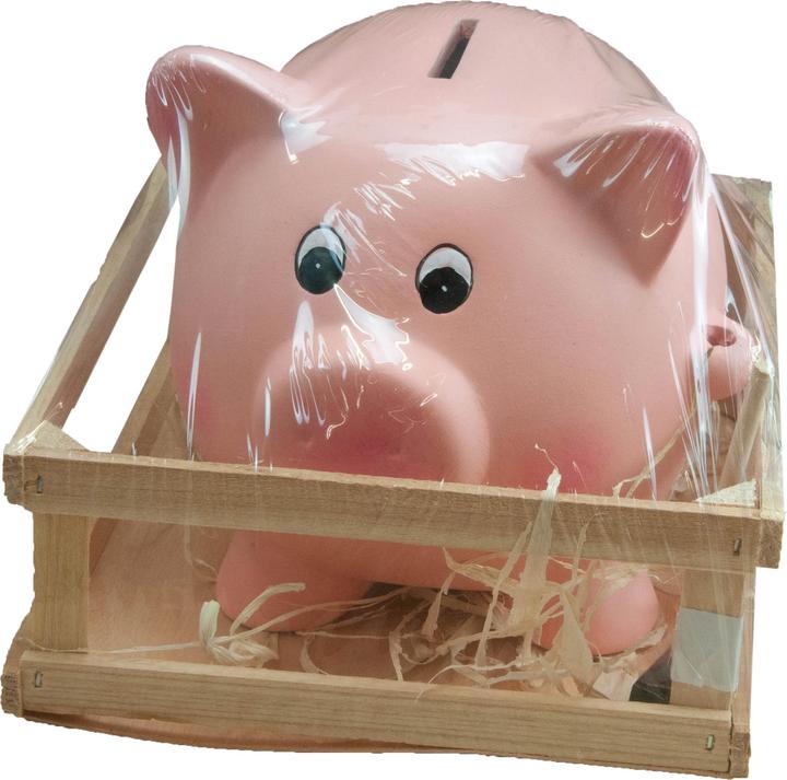 Actual product image NoName Piggy bank with hammer