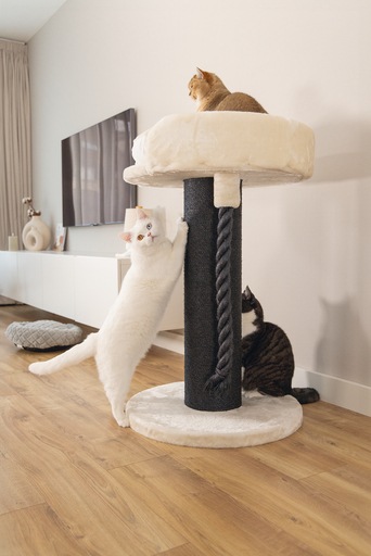 Actual product image Beeztees Tura (100 cm, Brown, Beige)