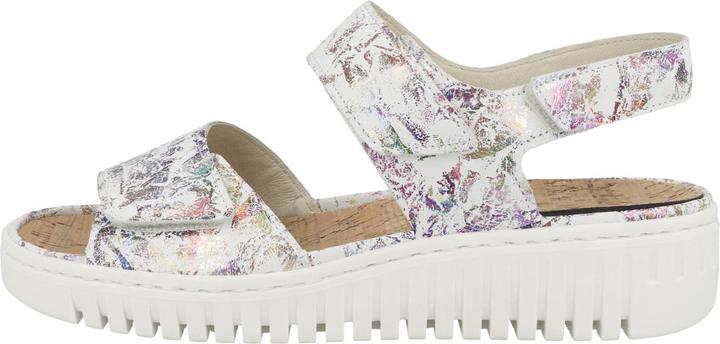 Multicolor