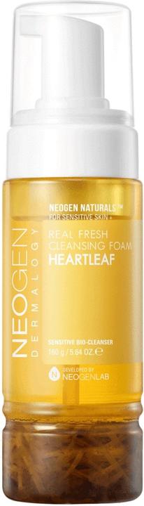 Neogen Dermalogy Real Fresh Foam Heartleaf (Reinigungsschaum, 120 ml)