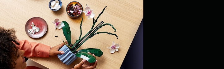 Immagine prodotto LEGO Orchidea (10311, LEGO Botanical)