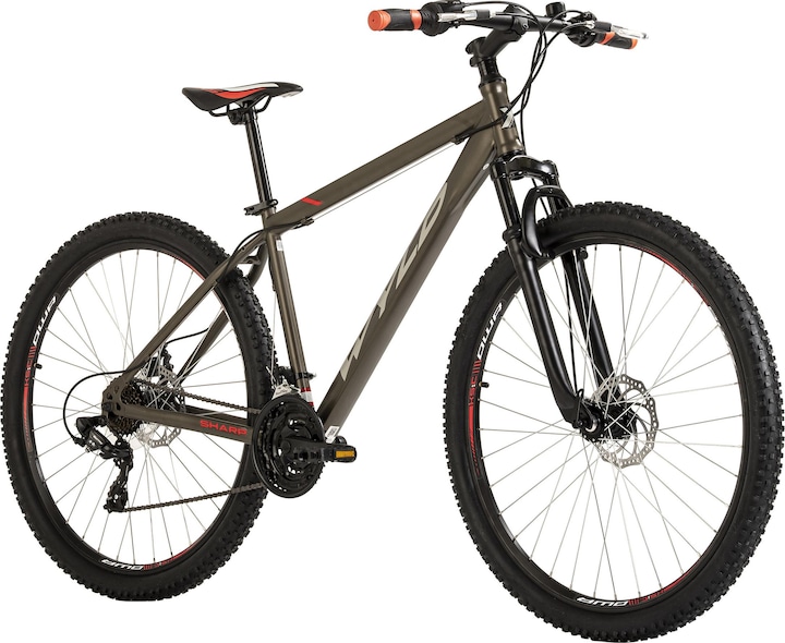 Produktbild Wyld Mountainbike Hardtail 29" Sharp Scheibenbremse platin-grau 21 Gänge (46 cm)