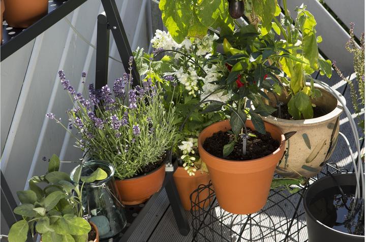 Productafbeelding Gardena Vakantie bewateringsset (Set druppelirrigatie)