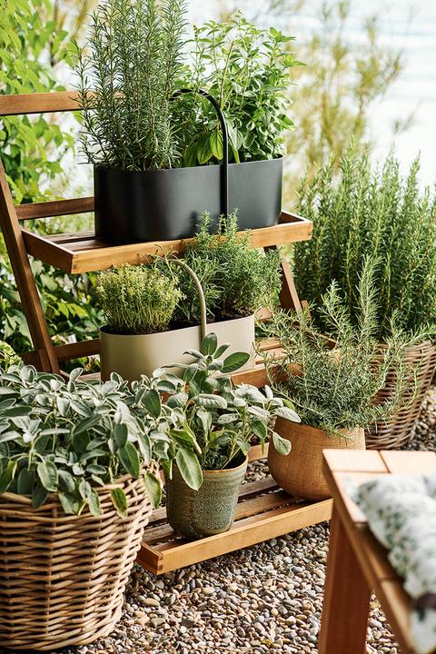 Produktbild edy&liv Synsia (20 x 17.50 cm)