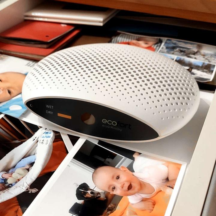 Produktbild ecofort ecoQ MiniDry (0.25 l/24h)