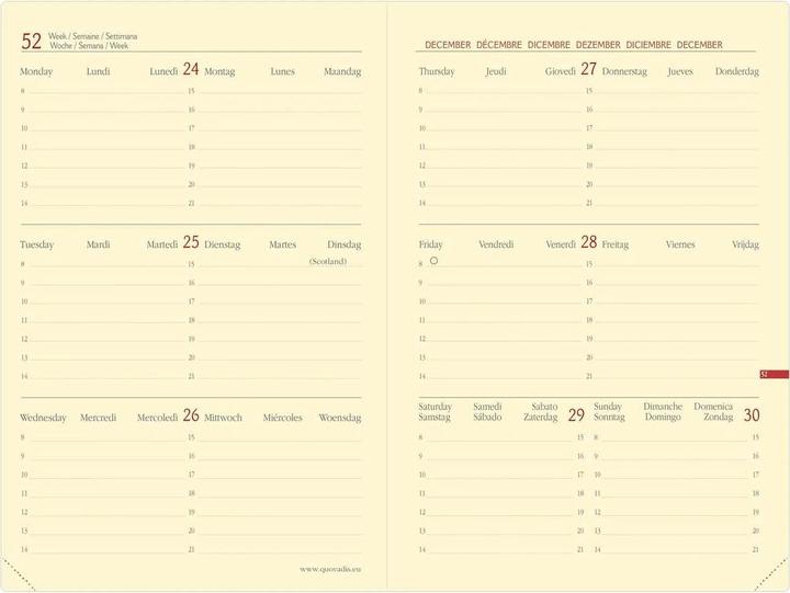 Produktbild Quo Vadis Horizontal 24 SD Everest 25/26 550022Q 1W/2S 16M grenat ML 16x24cm (1 Woche / 2 Seiten)