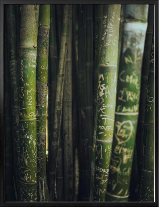 Image du produit Trenddeko Bambou vert (24 x 30 cm)