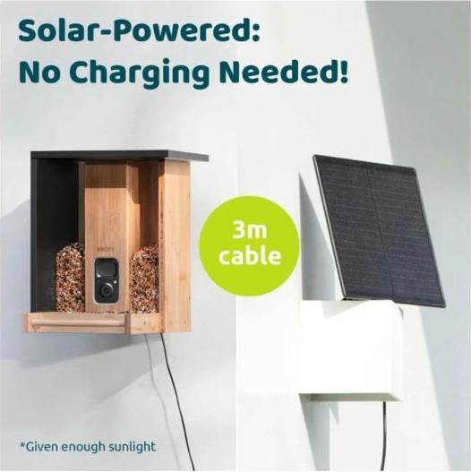 Actual product image Birdfy Feeder Bamboo AI by Subscription + Solar Panel