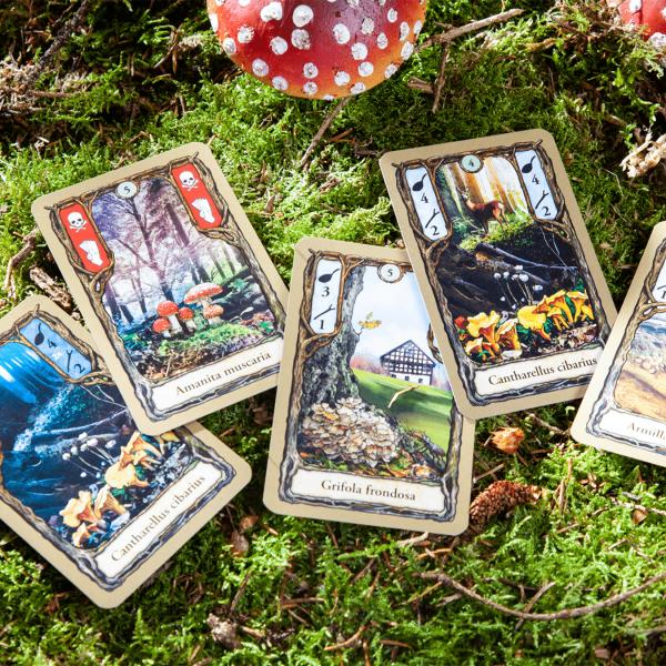 Immagine prodotto Pegasus muffe (Tedesco, 2 Giocatori)