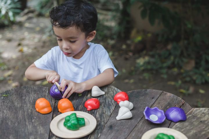 Actual product image Plantoys 5-coloured vegetable set