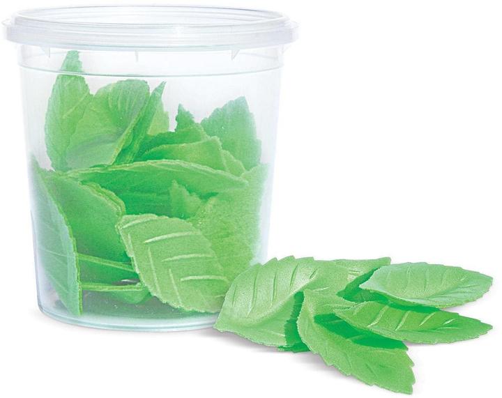 ScrapCooking Grüne Blätter (24x)