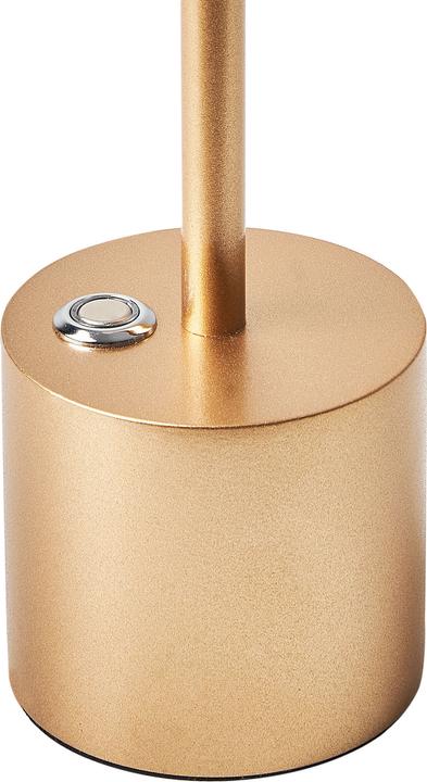 Image du produit Beliani Lizandro (150 lm)