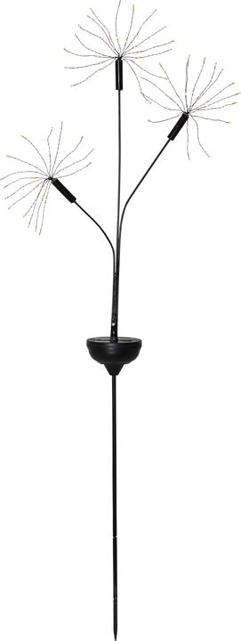 Image du produit Star Trading Firework (IP44)