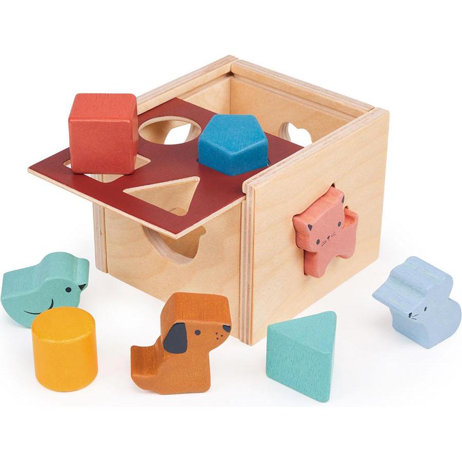 Mentari Cubo di selezione delle forme - Bambino (MT7110)